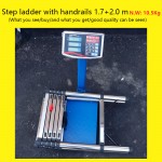 Stainless Steel Ladder with Handrails